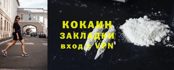 твердый Михайловск