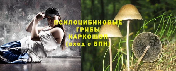 амф Абинск