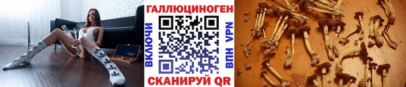 Галлюциногенные грибы мицелий  Кяхта 